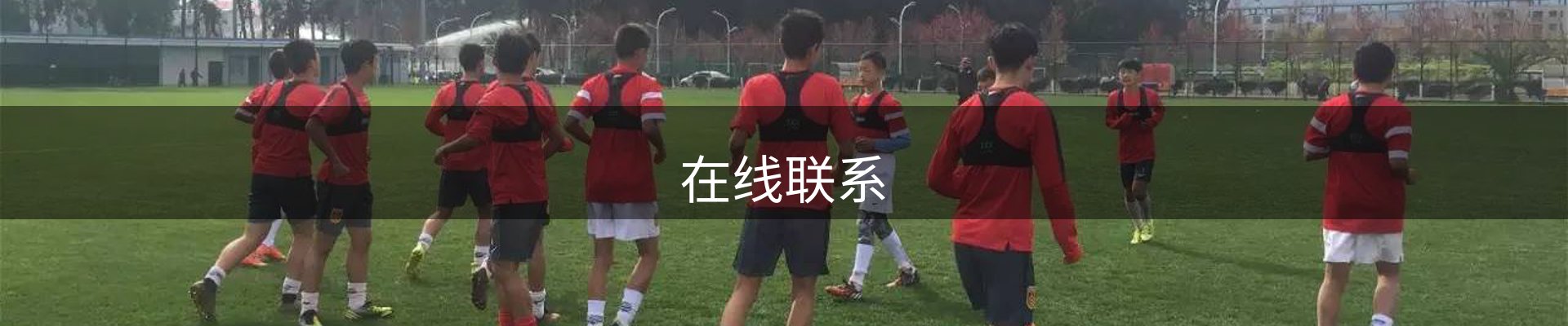 在线联系