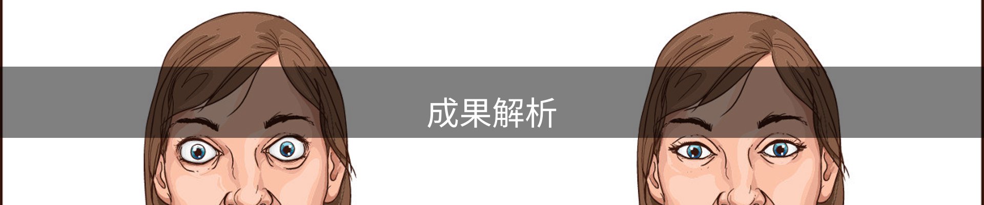 成果解析
